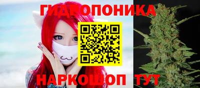 PSILOCYBIN Дубна