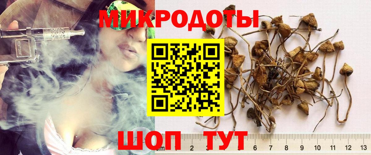 Новоуральск  Псилоцибиновые грибы мицелий  Вход с VPN 