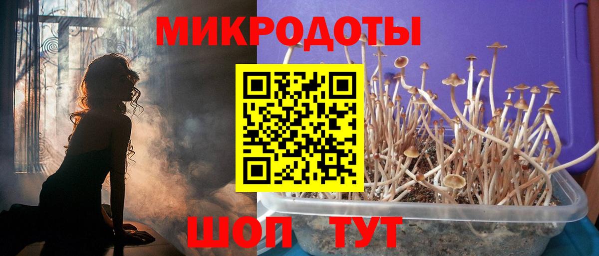 Галлюциногенные грибы Psilocybine cubensis Новоуральск